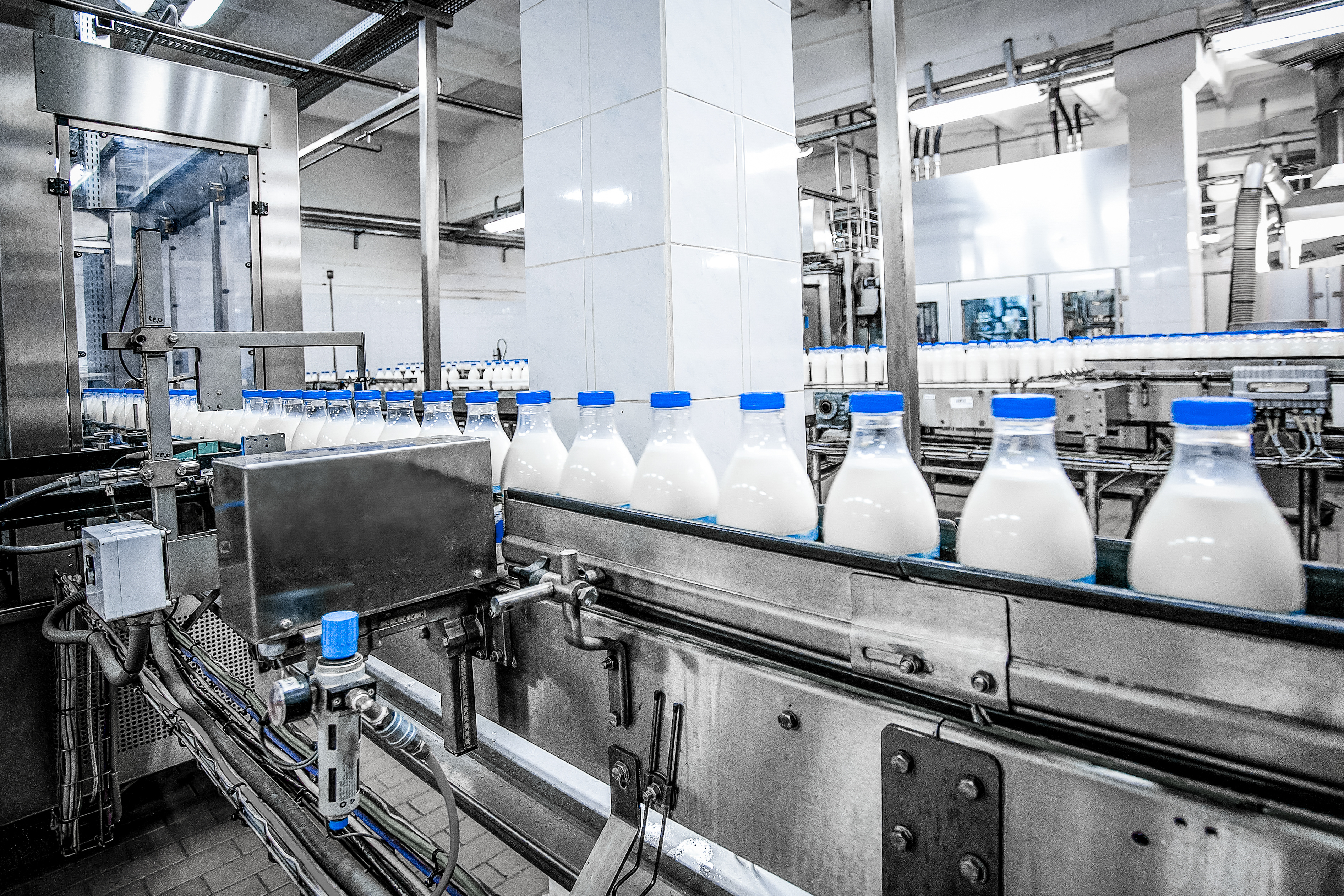 milk production factory