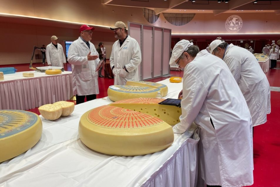 2022 World Championship Cheese Contest Underway Dairy Processing 