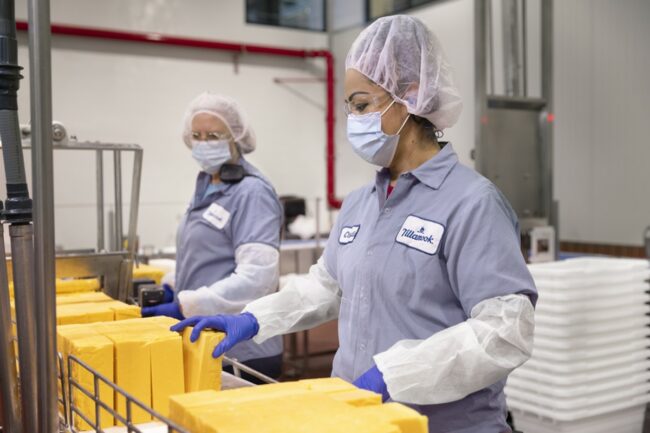 Tillamook County Creamery Association dairy processing