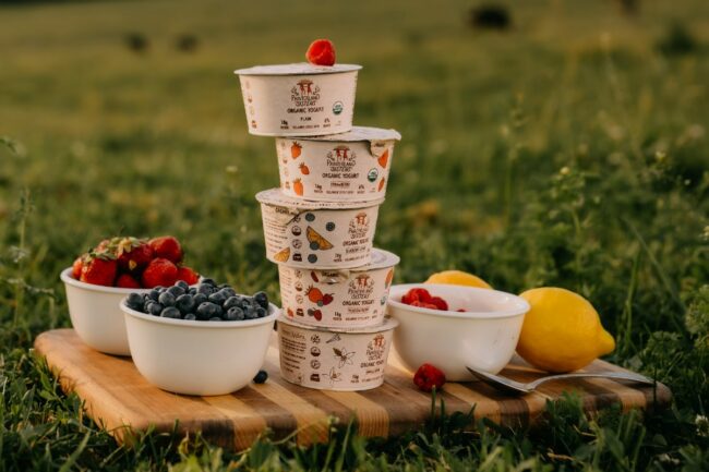 Painterland Sisters Organic Skyr Yogurt Pennsylvania dairy Icelandic style yogurt flavors plain blueberry lemon strawberry vanilla bean meadow berry