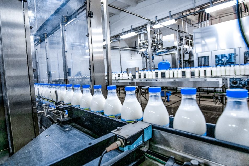 Technology and Automation in Dairy Industry, by Delmergroup