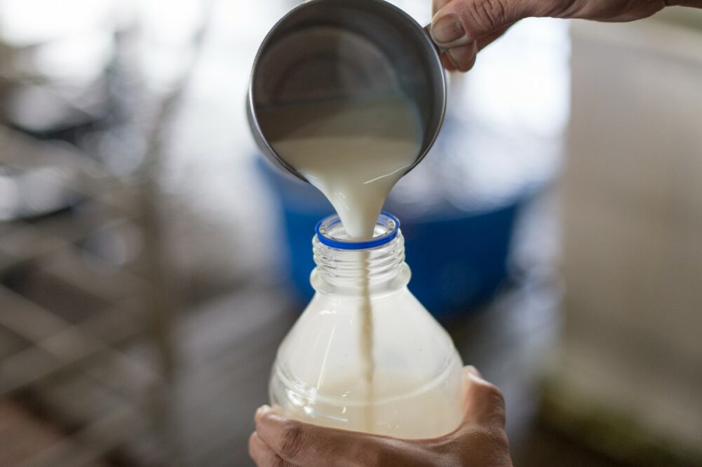 milk lab dairy processing