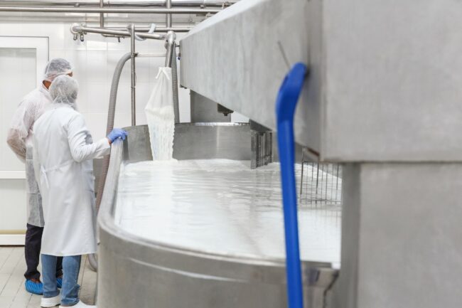 food safety cheese dairy plant quality facilities