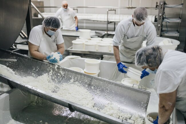 cheese dairy production plant dairy processing employees