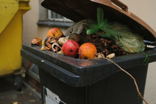 food waste