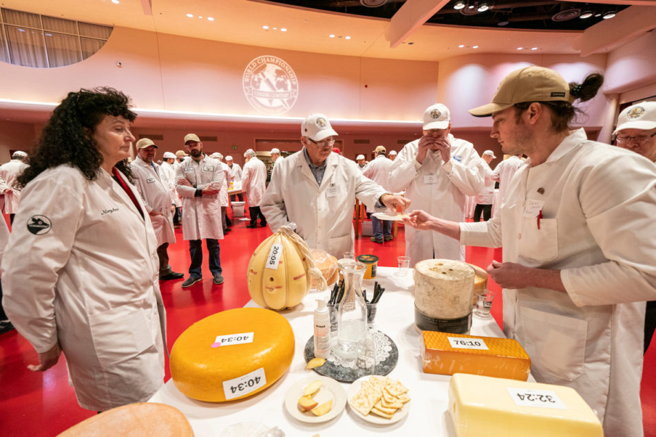 Awardwinning cheeses to be auctioned off Dairy Processing