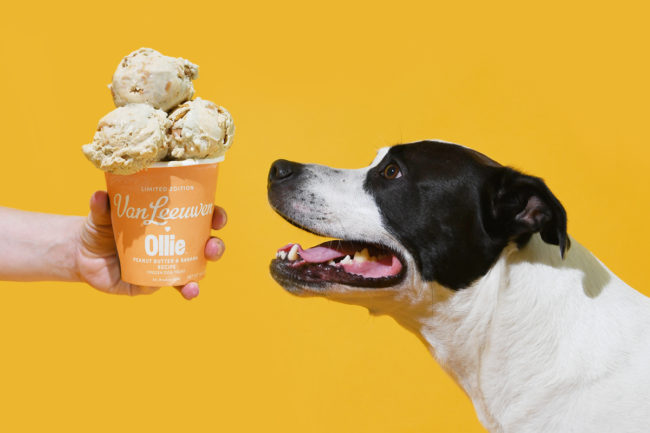 Van Leeuwen Ice Cream dairy industry processing frozen treats desserts for dogs Ollie ingredients