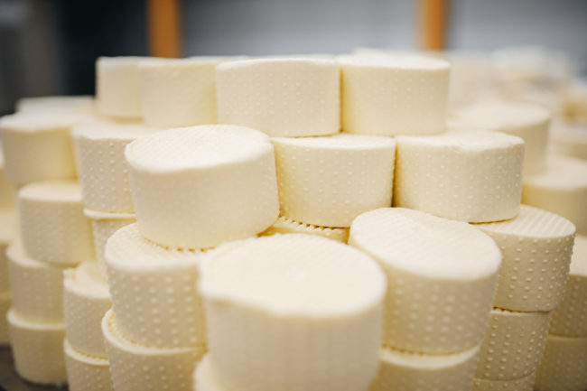 cheese production dairy processing facility plant manufacturing food and beverage