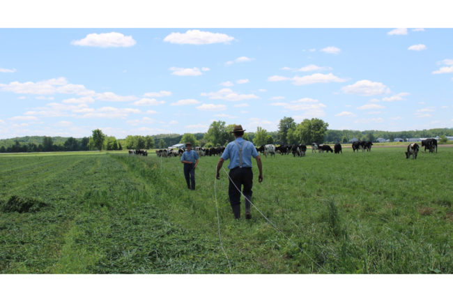 Organic Valley family dairy farm owners Iowa cows farming milk