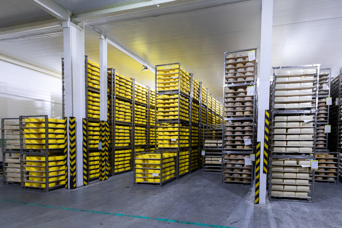 cheese storage cold warehouse operations supply chain dairy industry