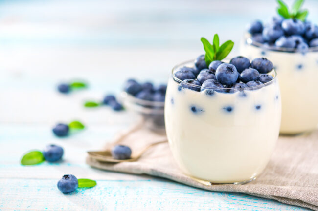 yogurt cultured dairy products food and beverage ingredients