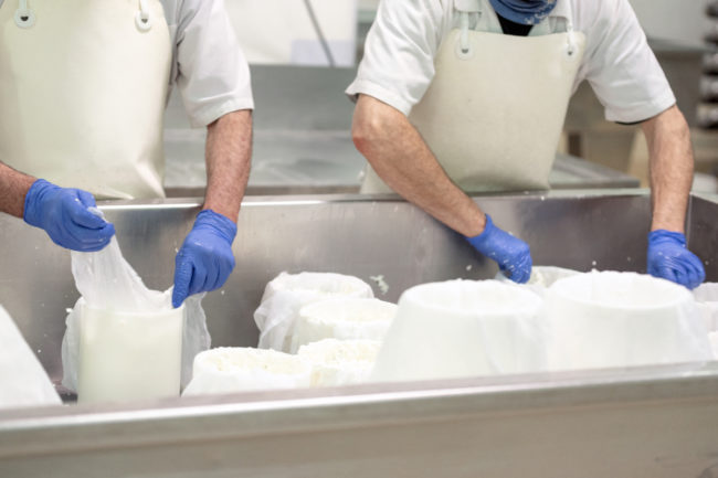 dairy processing facility plant food industry workers