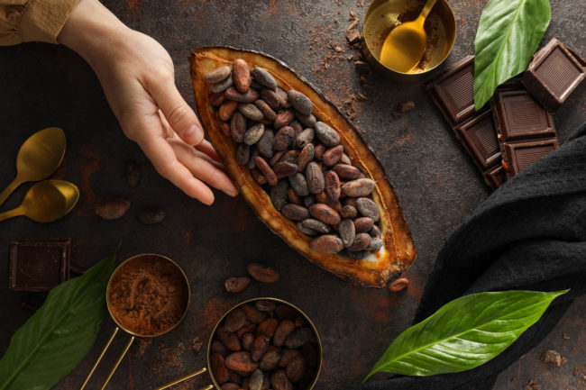 cacao fruit cocoa chocolate ingredients food industry