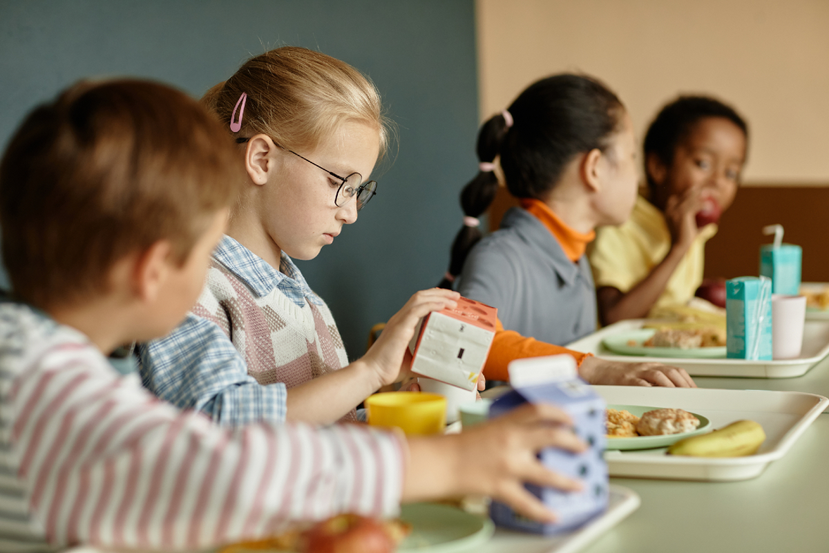 milk school lunch meal children dairy